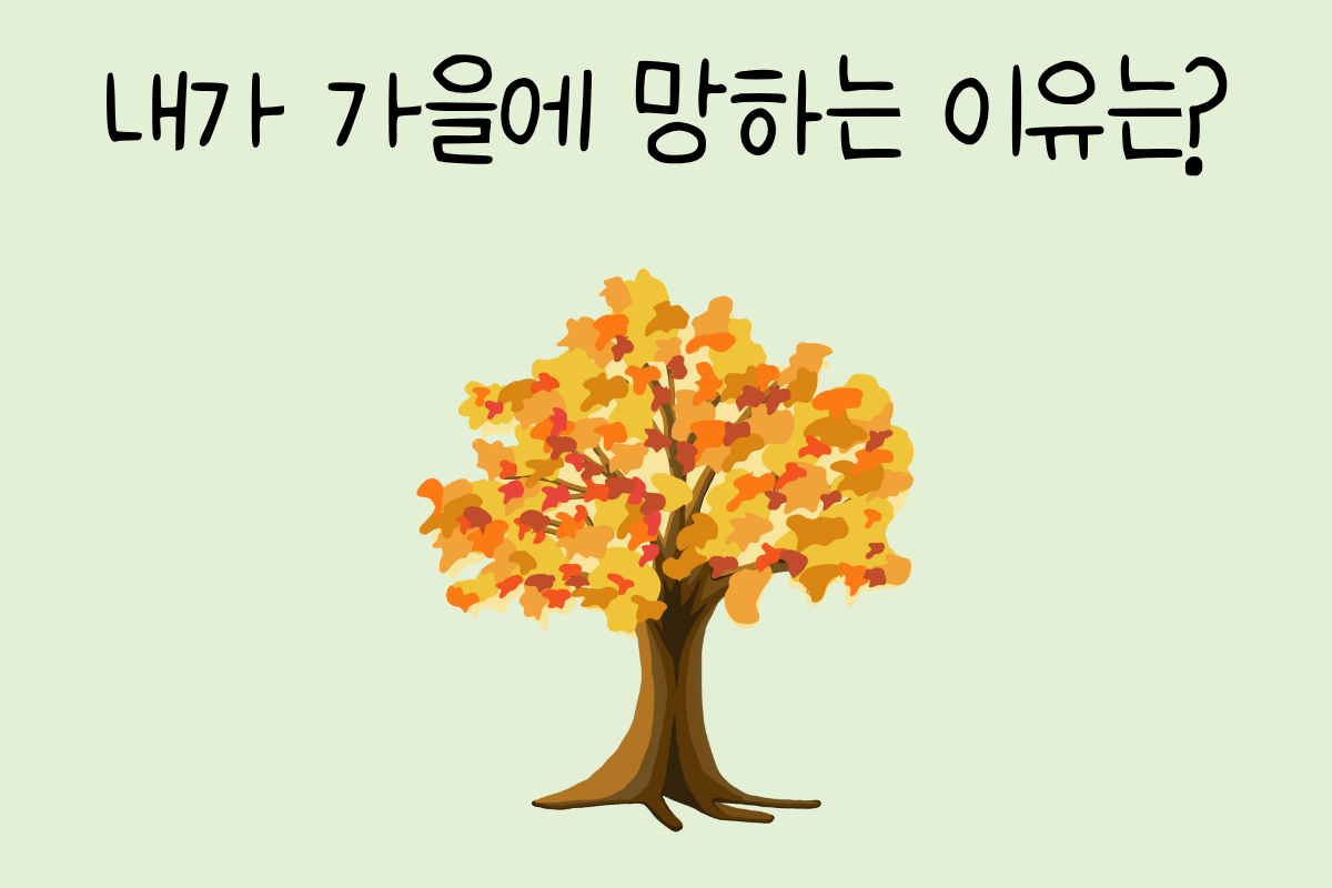 룰렛 이미지