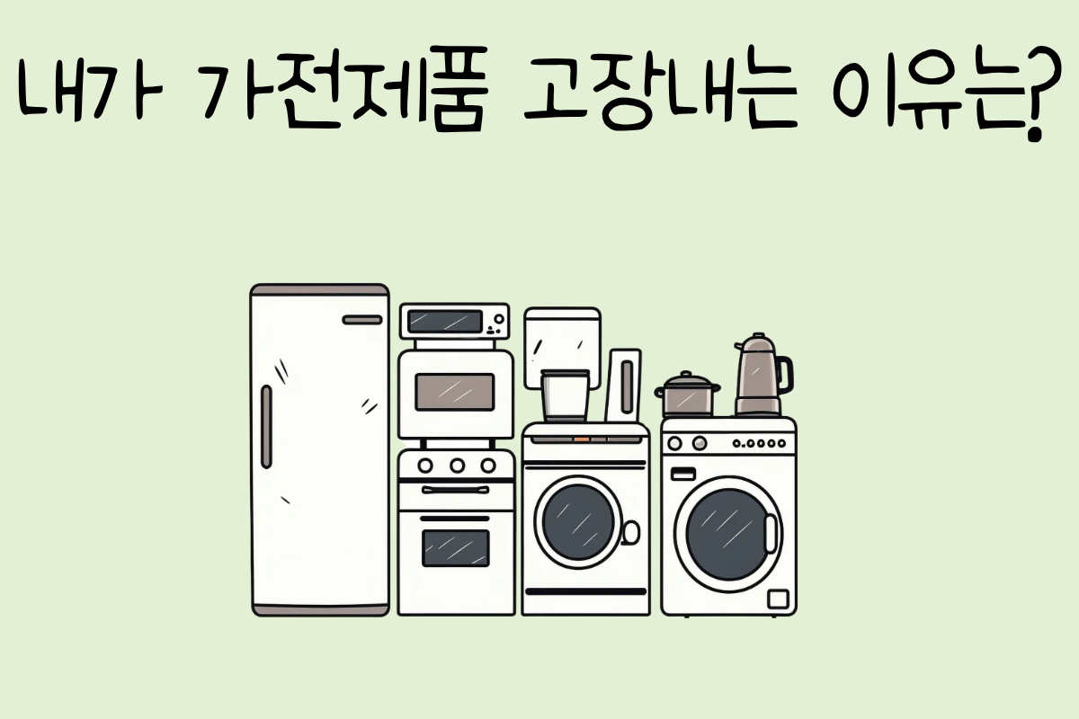 룰렛 이미지