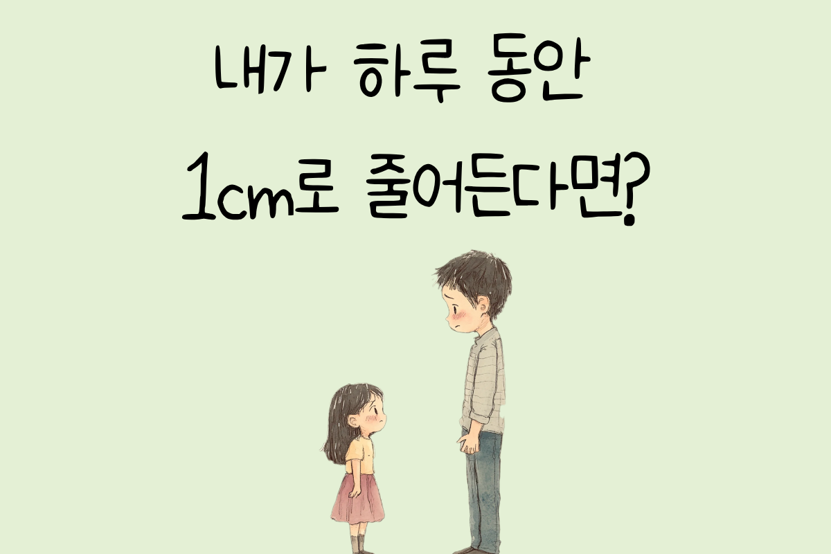 룰렛 이미지