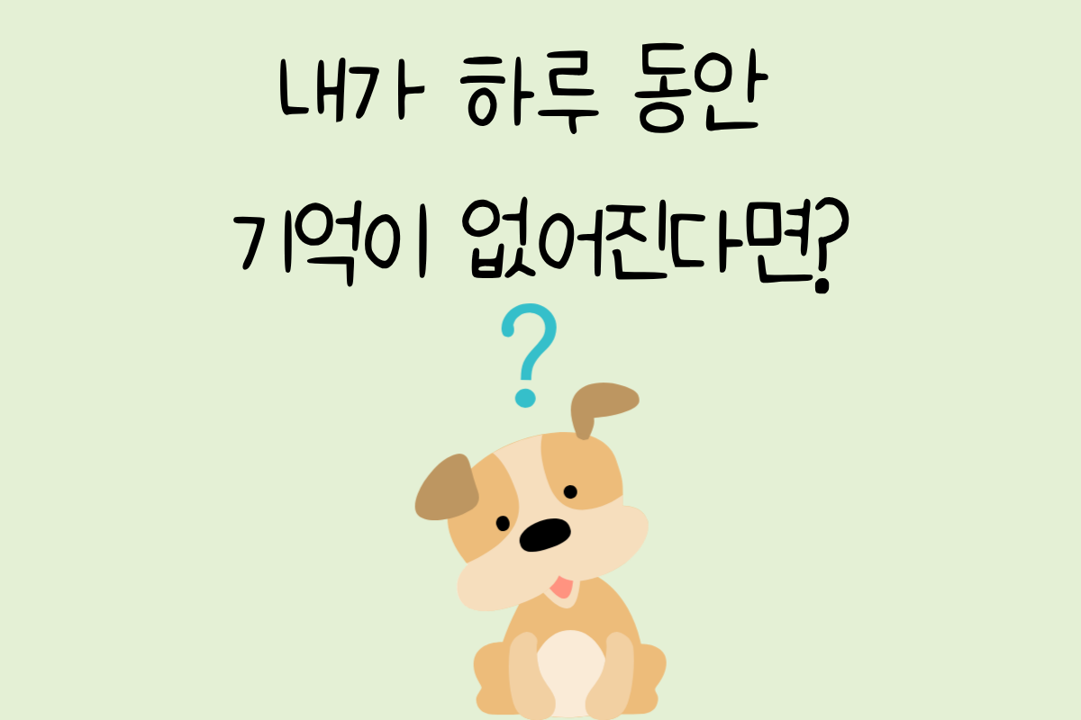 룰렛 이미지