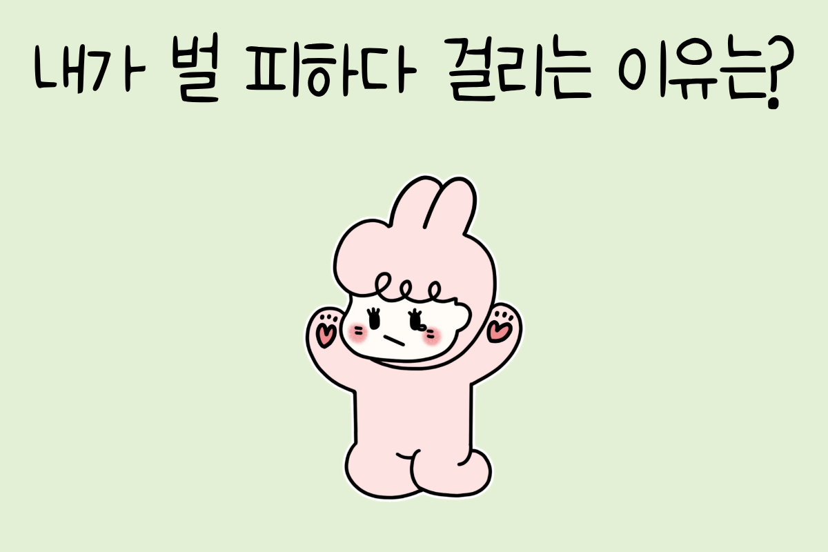 룰렛 이미지