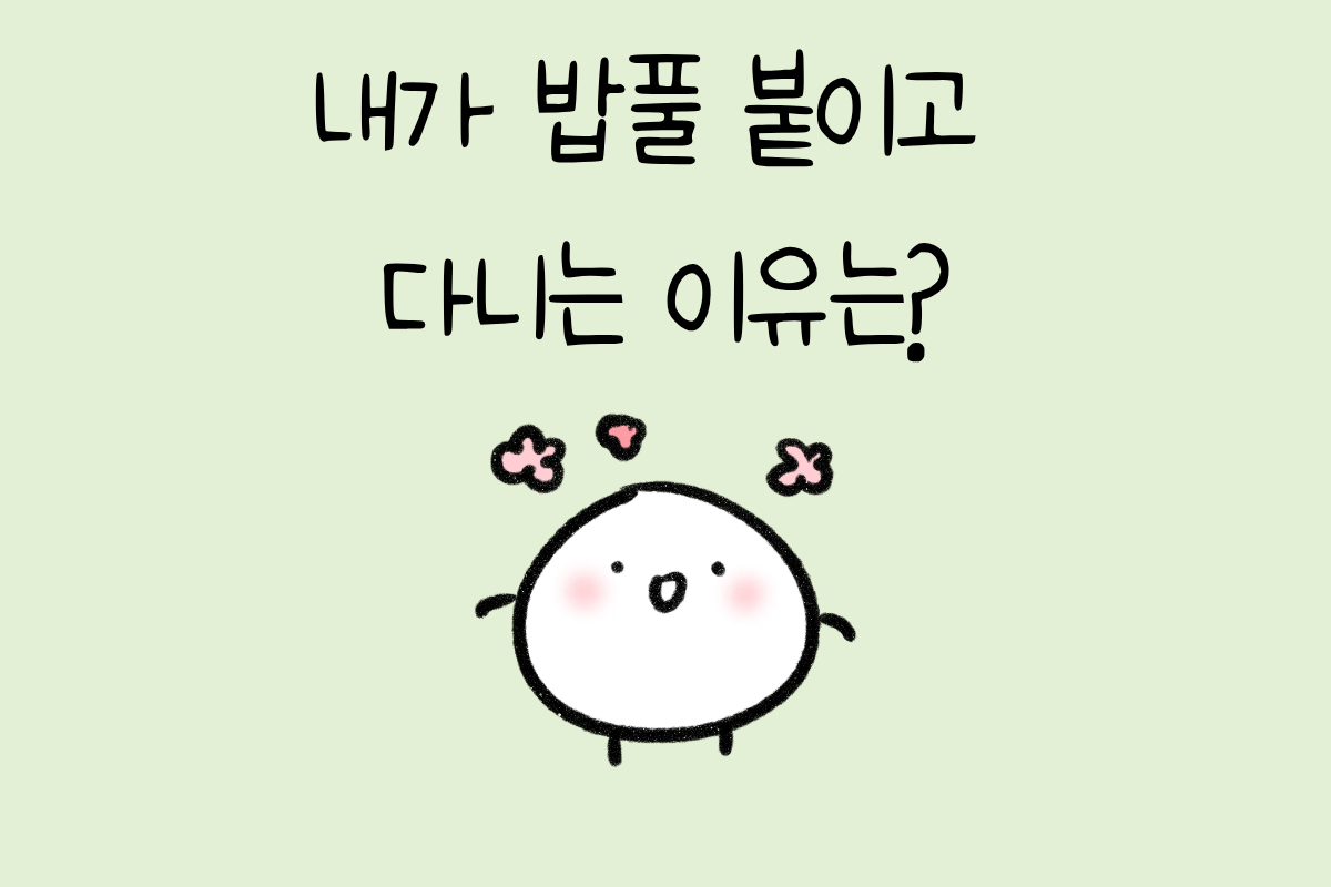 룰렛 이미지