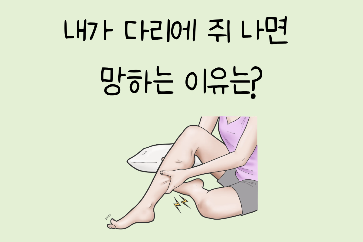 룰렛 이미지