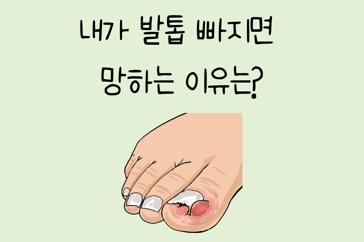 룰렛 이미지