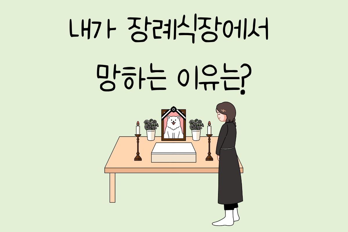 룰렛 이미지