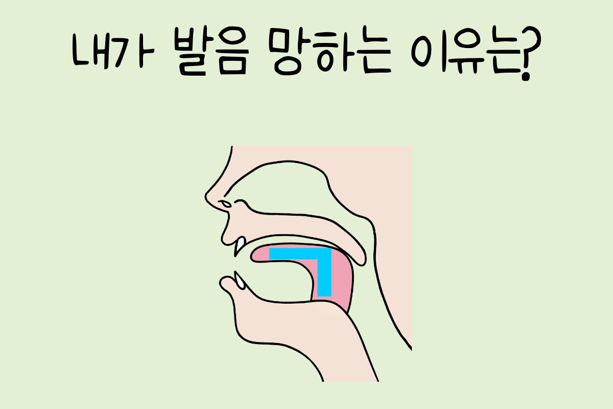 룰렛 이미지