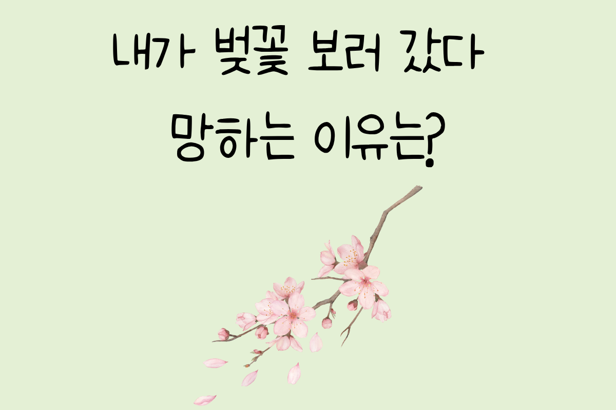 룰렛 이미지